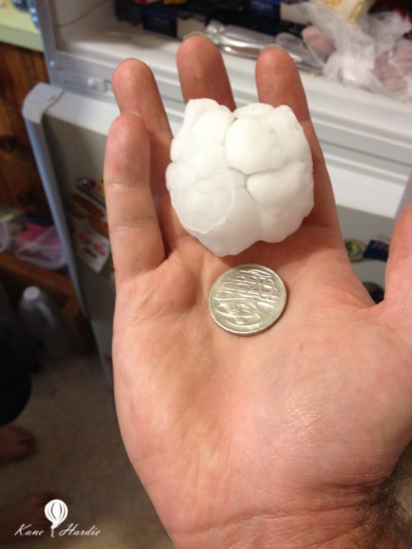 Large white hailstones held in an open hand beside a coin for scale