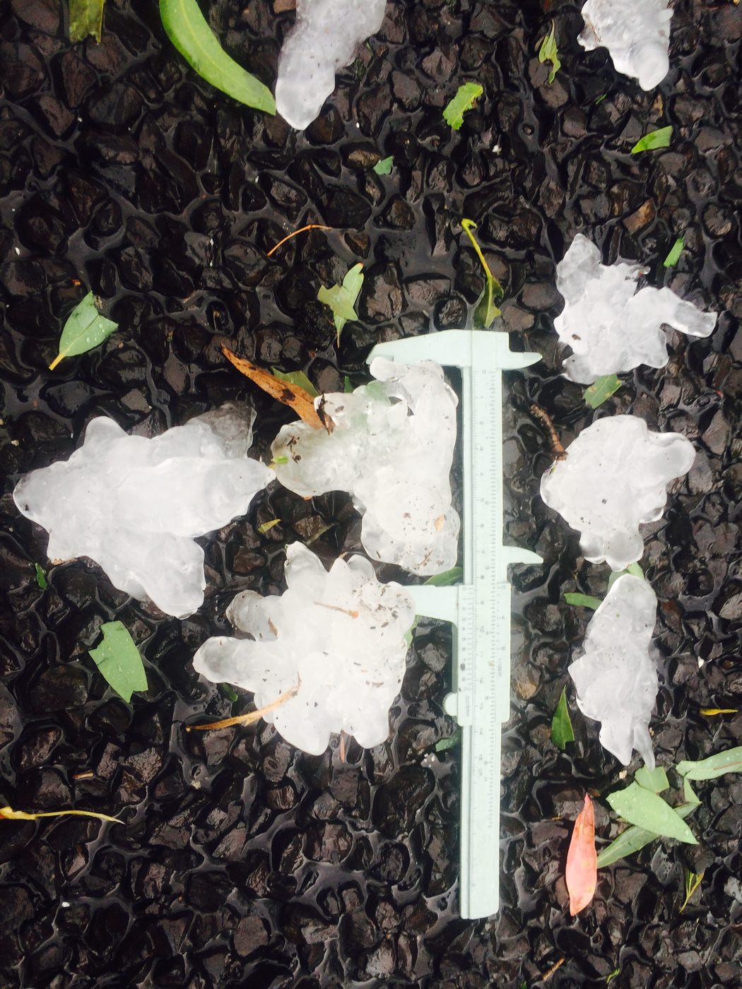 Irregular hailstones on the ground next to a caliper