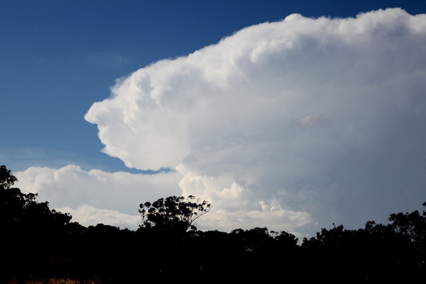 A white supercell updraft and anvil spreading across a blue sky