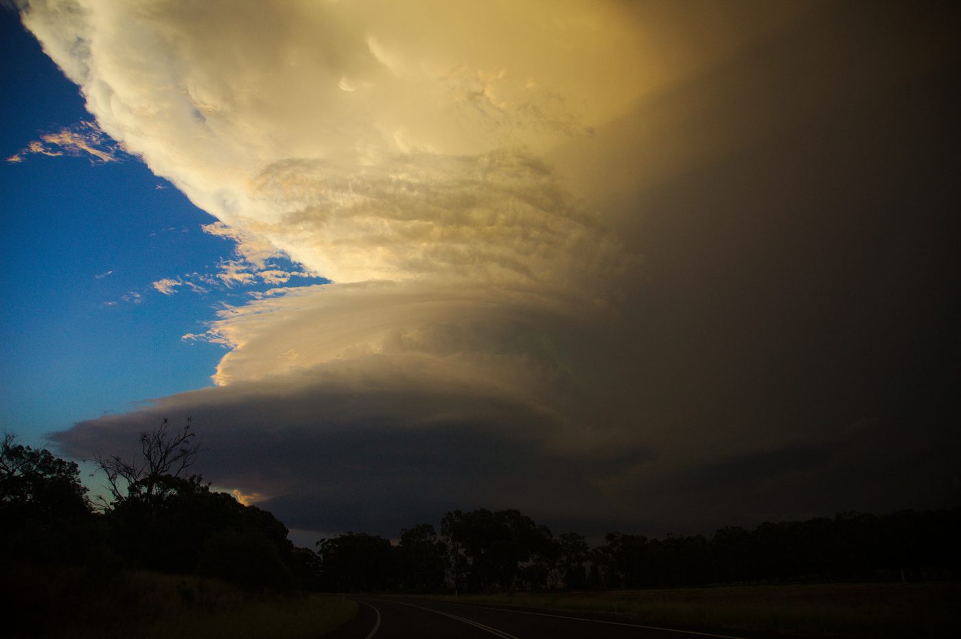 A supercell tower glowing gold with a dark inflow beneath