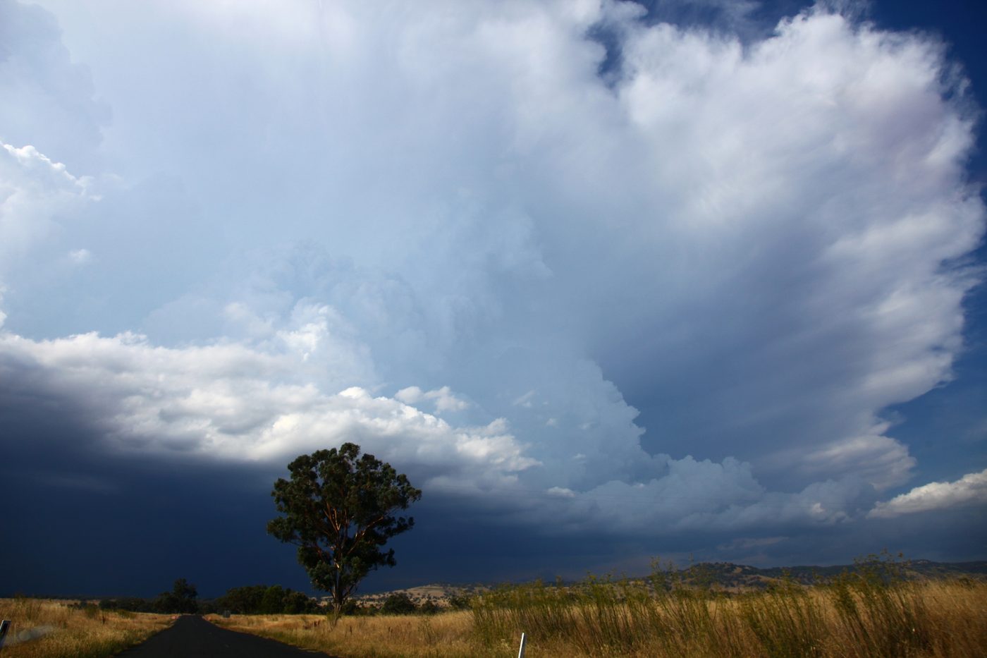 A big supercell rising above a lone tree on open country