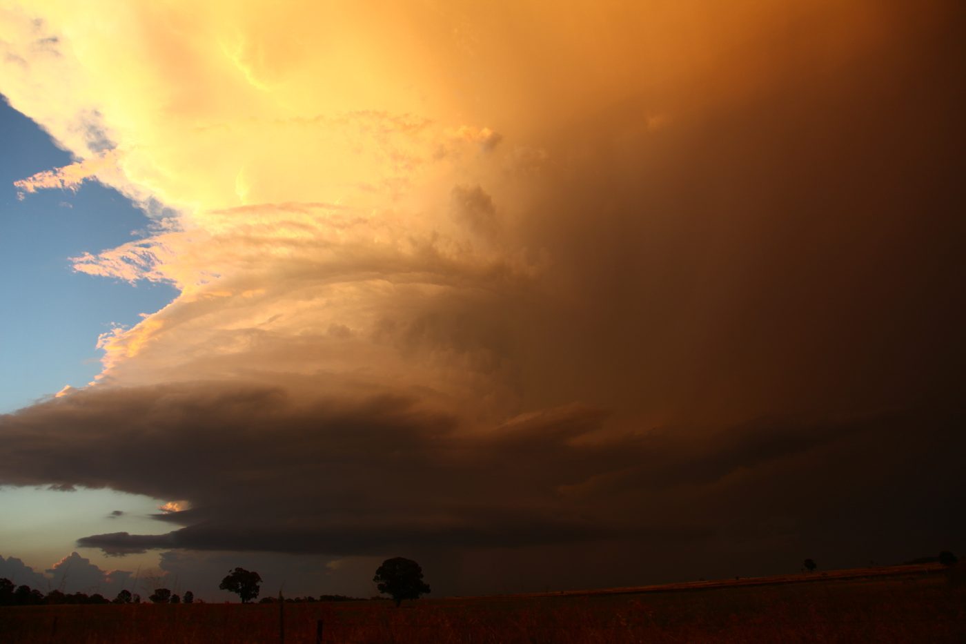 A supercell lit deep orange by the setting sun
