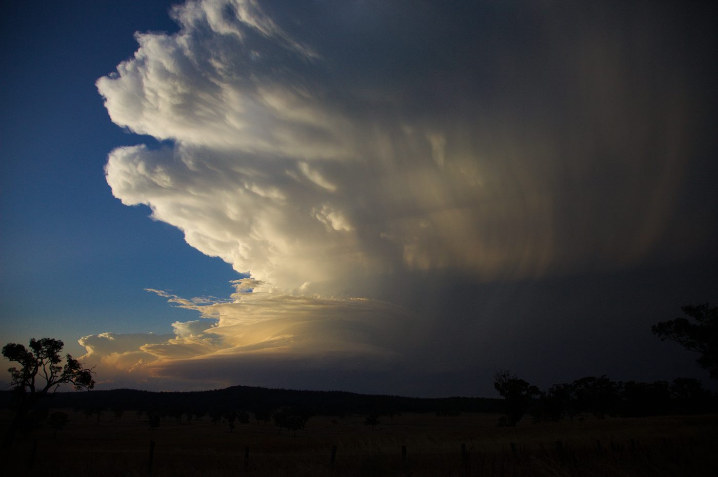 A supercell updraft with light rain streaks falling beneath a bright anvil