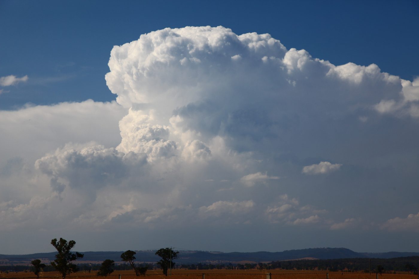 A towering supercell storm with a bright, sculpted cloud tower against blue sky