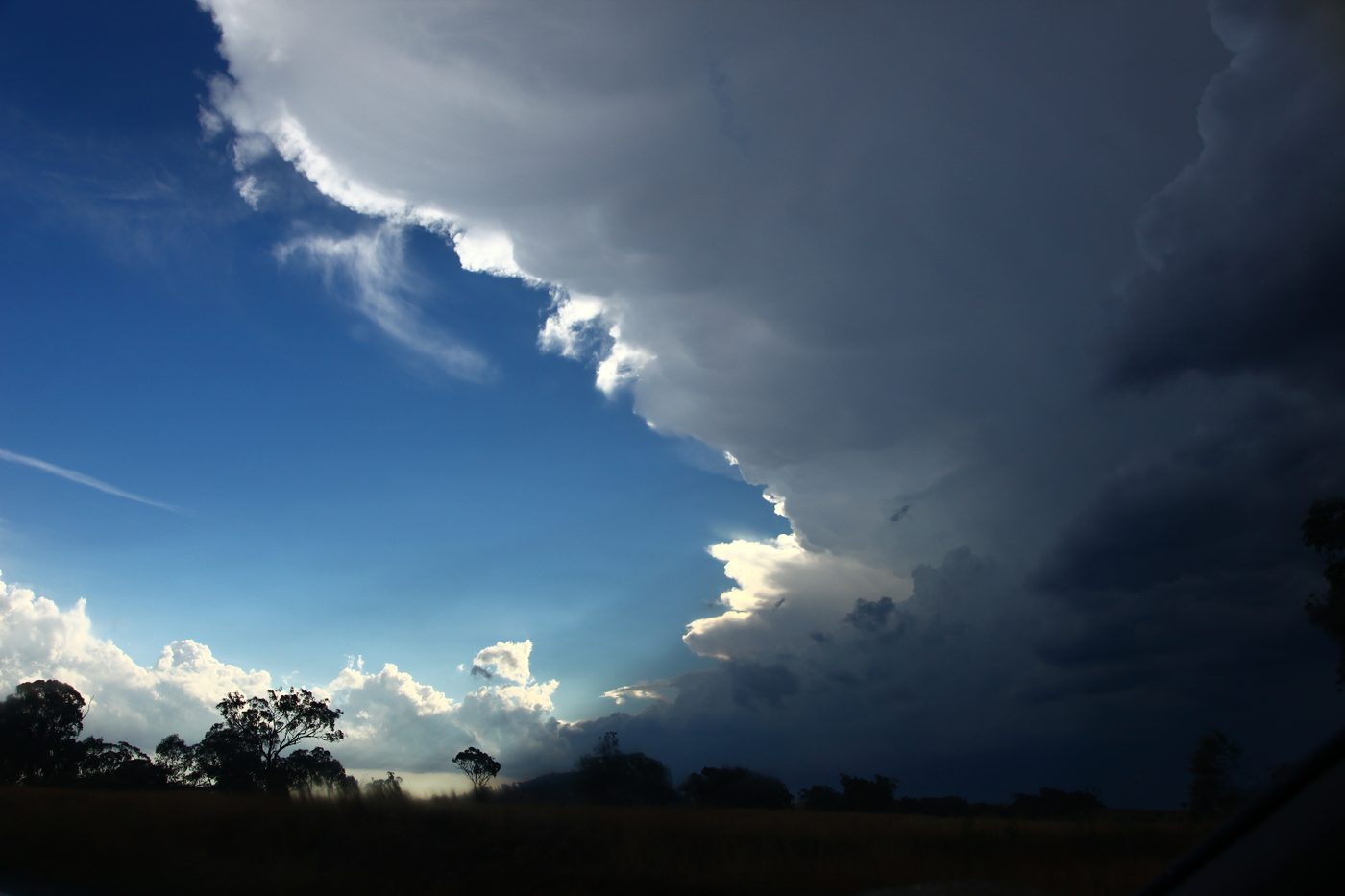 The edge of a supercell updraft lit by low sun with a dark storm base below